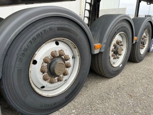 Scania P SERIES 